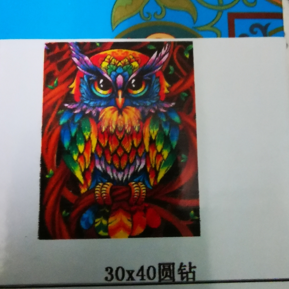 5D Diamond Painting Owl